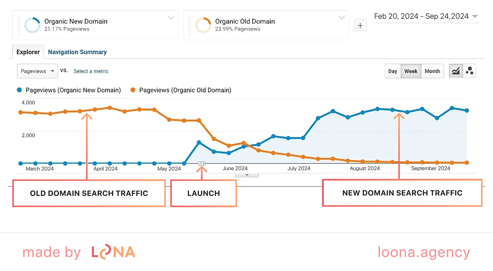 successful domain name change successful domain change